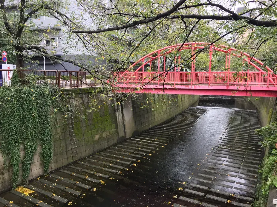 A complicated relationship with climate change and nature in Japan. A bridge over a channelized river in Naka-Meguro, Tokyo. Image by Daniel Merino. Japan, 2019.