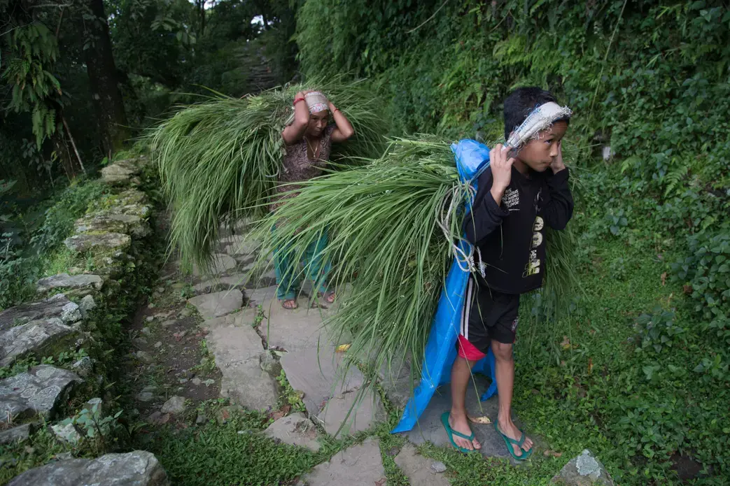 Image by Pankaj Khadka. Nepal, 2015.
