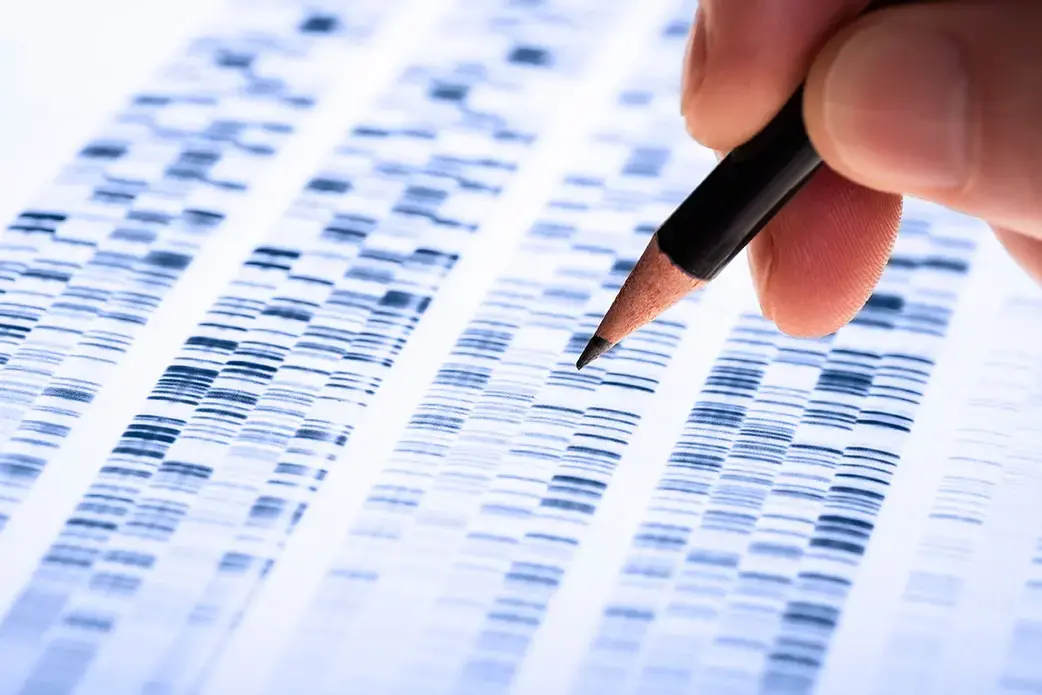 Scientist analyzes DNA gel used in genetics, forensics, drug discovery, biology and medicine. Image by Shutterstock.
