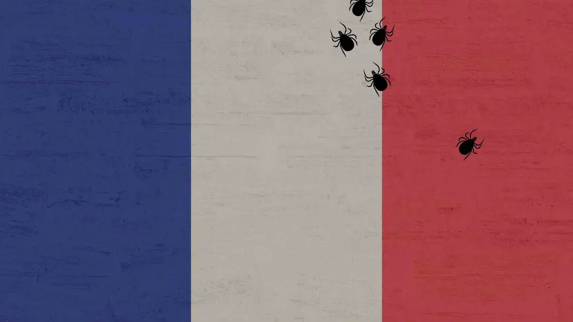 France sees fewer Lyme cases per year than Massachusetts despite a population ten times the size. Thanks, in part, to a highly active advocacy community, the French government has released one of the most detailed national plans to address the disease. But for advocates, it's still not enough. Image courtesy of Pixabay / Undark.