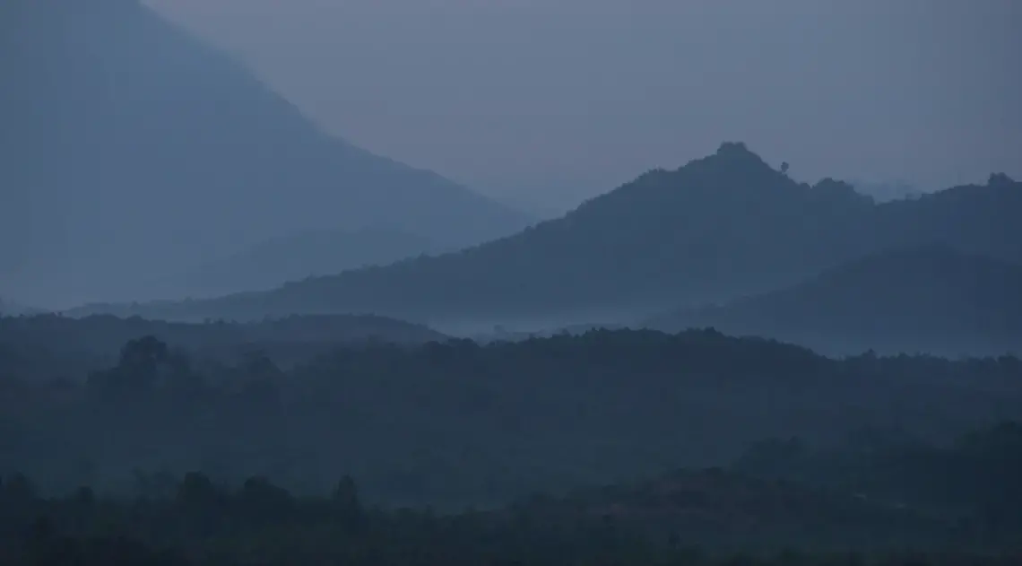 Deforestation due to palm oil farming threatens Borneo's rainforests. Screenshot from Kent Wagner's video "Mist and Mystery: Deforestation". Indonesia, 2016.