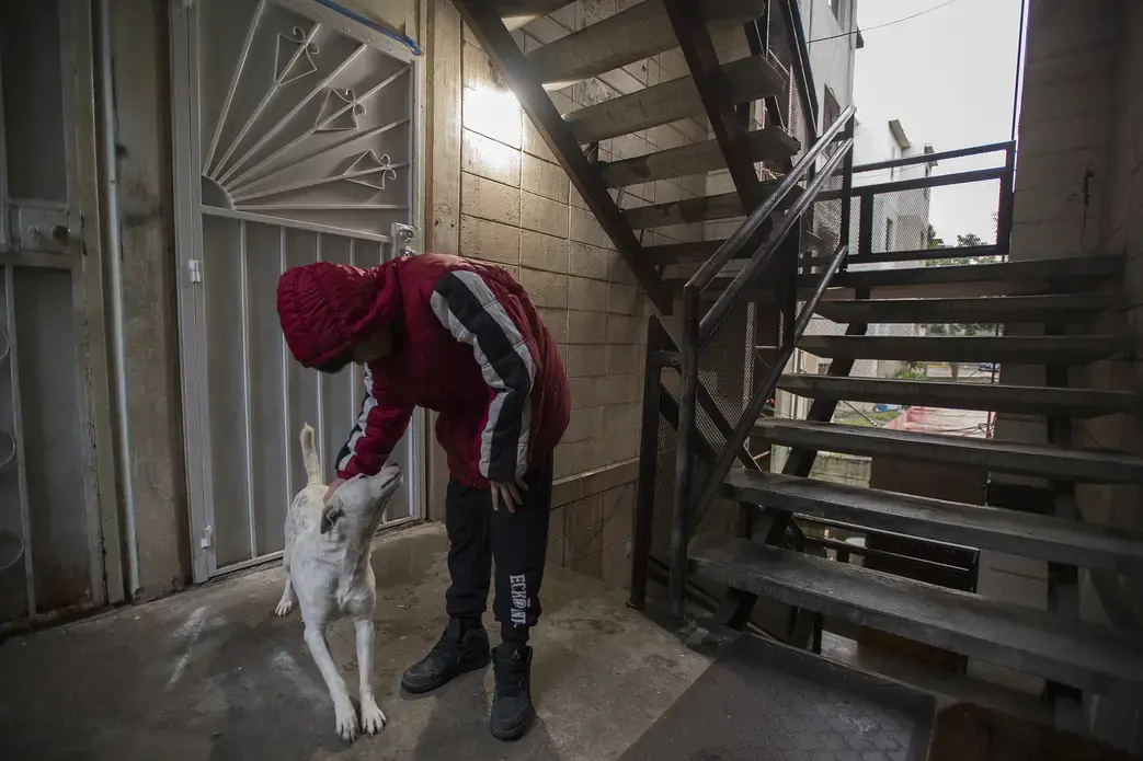Chester, a stray dog living in Ramon Flores' apartment building, stretches out while bonding with Edward Flores on Nov. 28. Edward and the family often give food to Chester but he is not allowed in the apartment. Image by Amanda Cowan. Mexico, 2019.