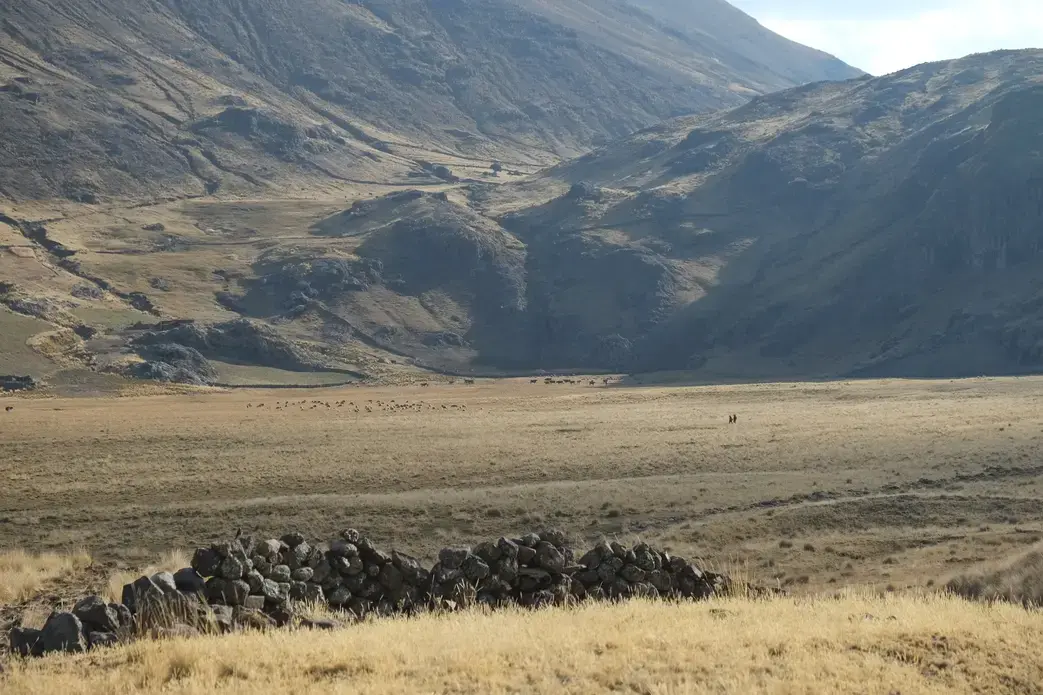 Two people walk through a field in Tuco one afternoon in early September. Photo by Dan Schwartz. Peru, 2019.
