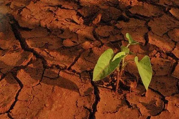 Climate experts fear catastrophe unless the world grapples with global warming without delay. Image by Daniel Grossman. 2016.
