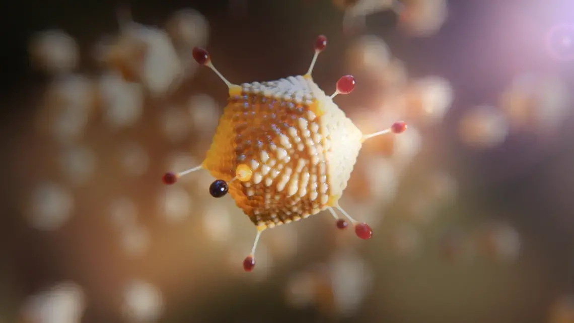 Artist illustration of adenovirus used in a COVID-19 vaccine from AstraZeneca and University of Oxford. Illustration courtesy of AstraZeneca.