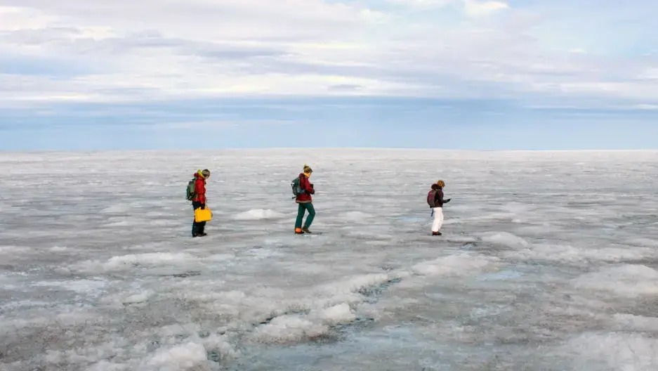 The Greenland ice sheet holds enough water to raise sea levels roughly 23 feet if it were to melt completely. On a recent research trip, students Rosie Leone, Aidan Stansberry and Ian MacDowell used radar to map the bed of rock and soil below the ice sheet to figure out how parts of the ice sheet may move toward the ocean. Image by Amy Martin. Greenland, 2018.