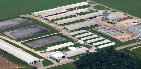 The Wiese Brothers dairy farm in Greenleaf in Brown County is in the lower Fox River watershed. It is one of the largest dairy operations in the state. DNR figures show 6,000 milking and dry cows, in addition to other cattle. Image by Mark Hoffman. United States, 2019.