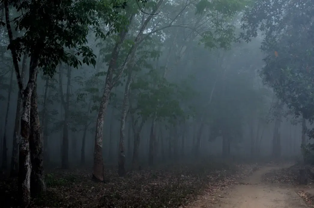 Smog resulting from forest fires in South Sumatra. Image by Slamet Mulyadi / Shutterstock. Indonesia, undated.
