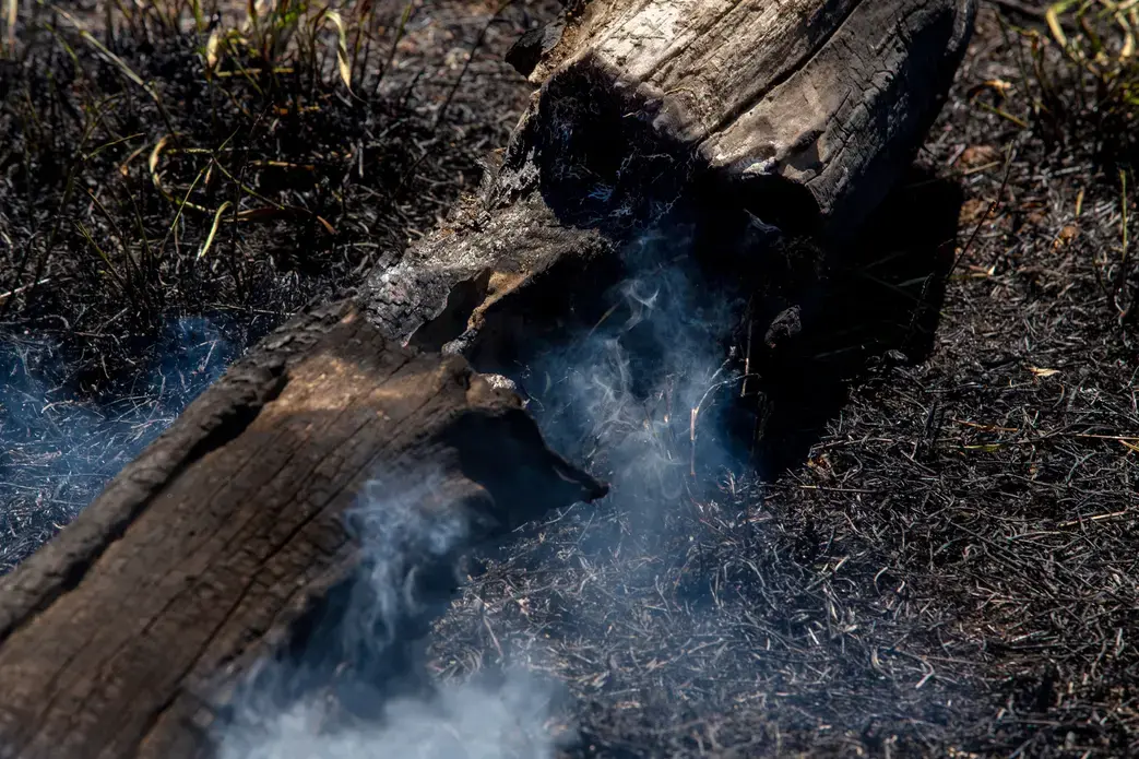 Smoke rises from a trunk in a farm at Pocone village. Image by Antonio Scorza / Shutterstock. Brazil, 2020.