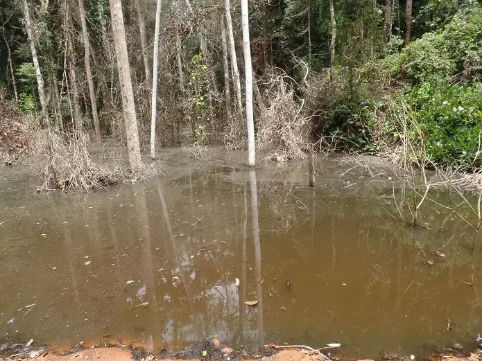Flooded forests and plumes of water polluted by mining activity in a village called Zoulabouth. Image by Marien Nzikou-Massala / @eraenvironnement. Republic of the Congo, 2020. 