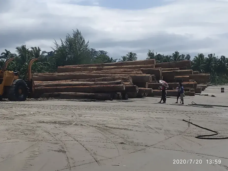 The loading activity of HPH logs from one of the companies on Tinitit Beach, Siberut Island, Mentawai Islands, West Sumatra last July. Image by Febrianti. Indonesia, 2020.