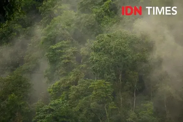 Photo by Dhana Kencana/IDN Times. Indonesia, 2020.