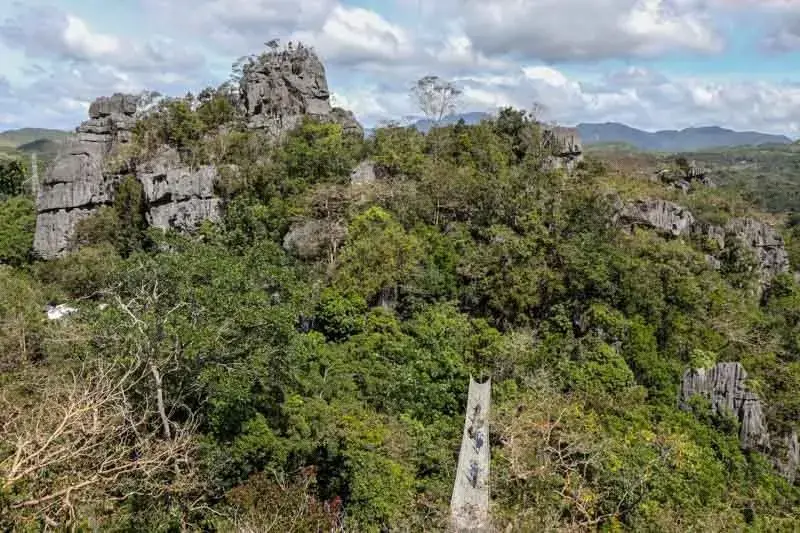 Aerial view of limestone formations surrounded by trees