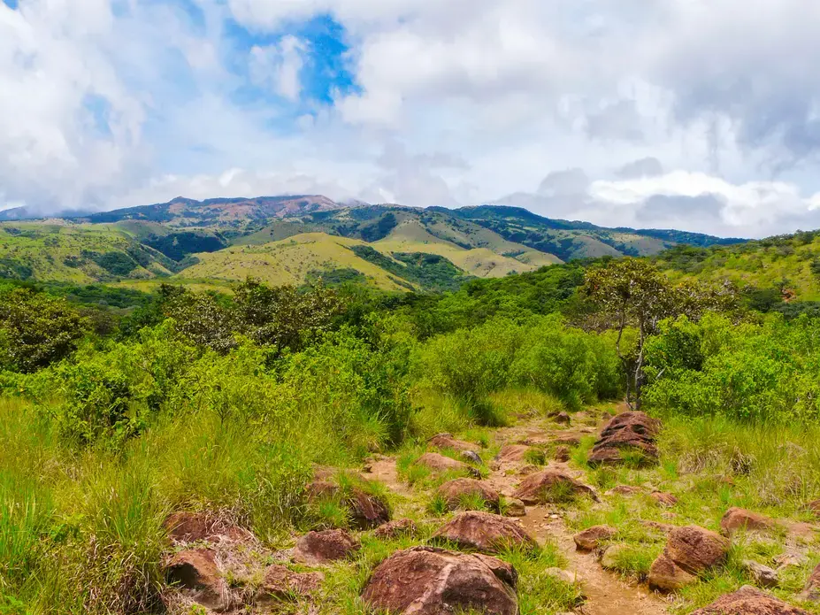 Green landscape in a national park.