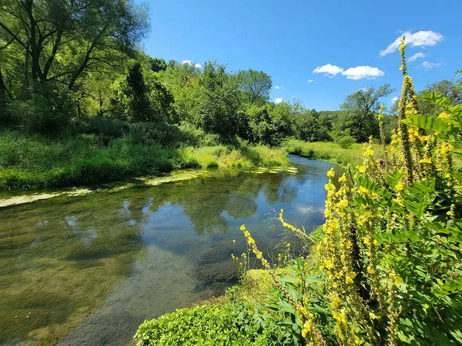 Bloody Run Creek in Iowa
