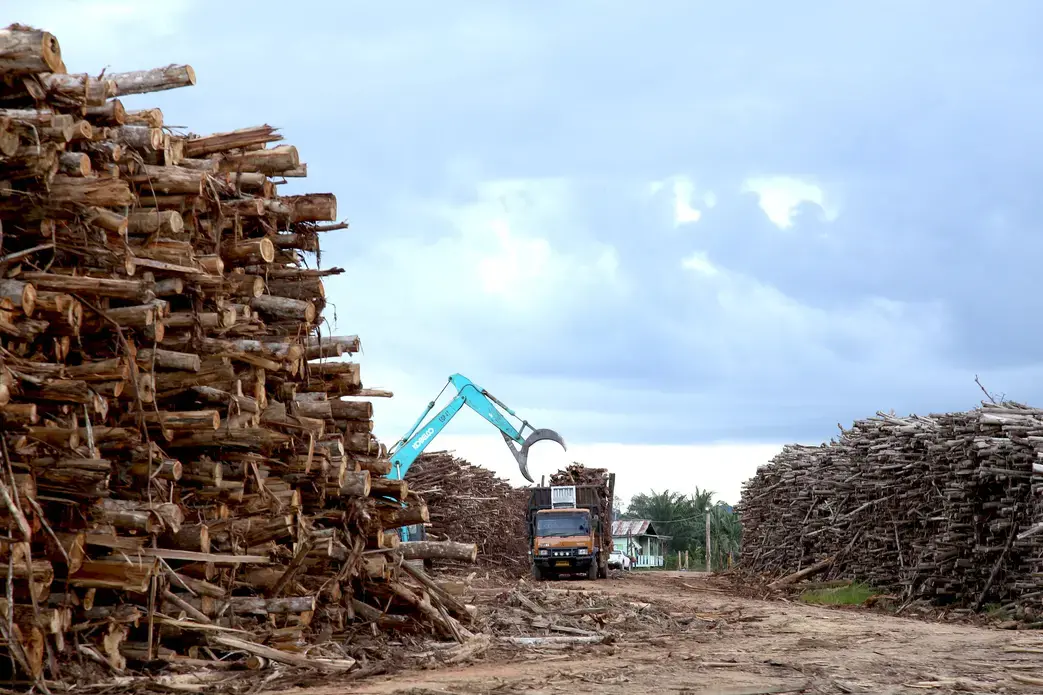 A crane picks up logs from a truck amidst big piles of logs.