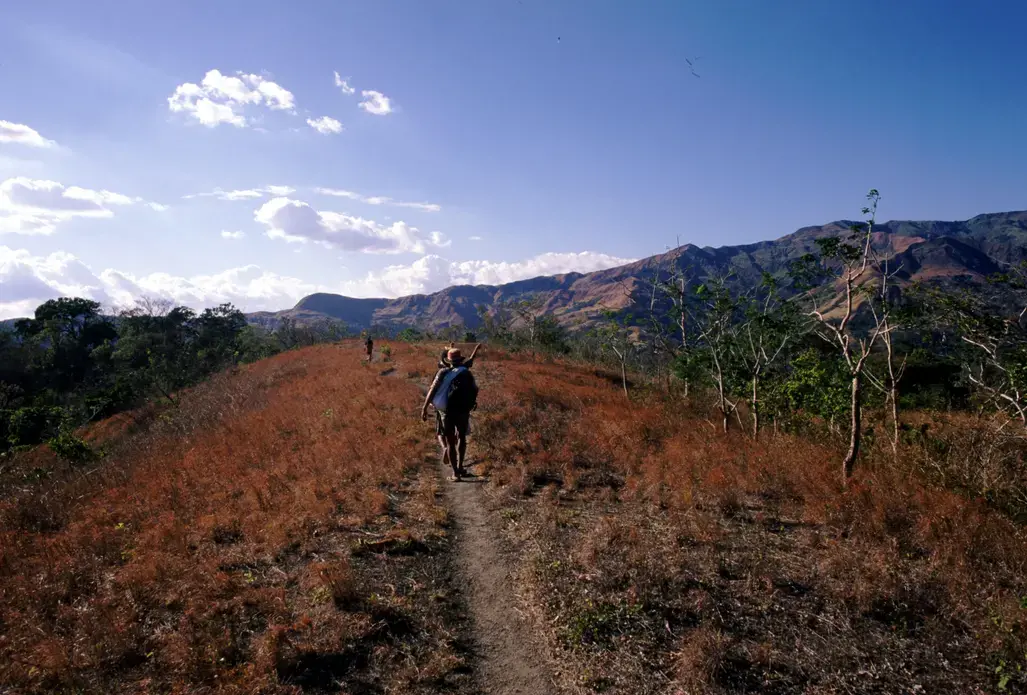 TRAIL WALK