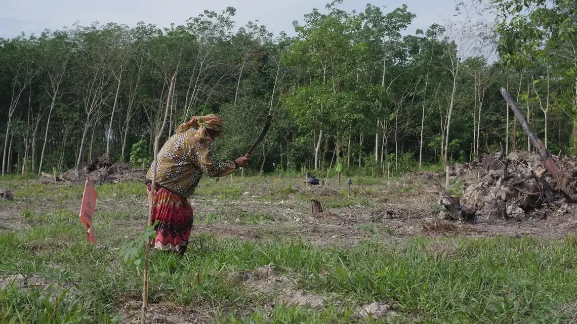 A woman weeding her plot of land with a machete.
