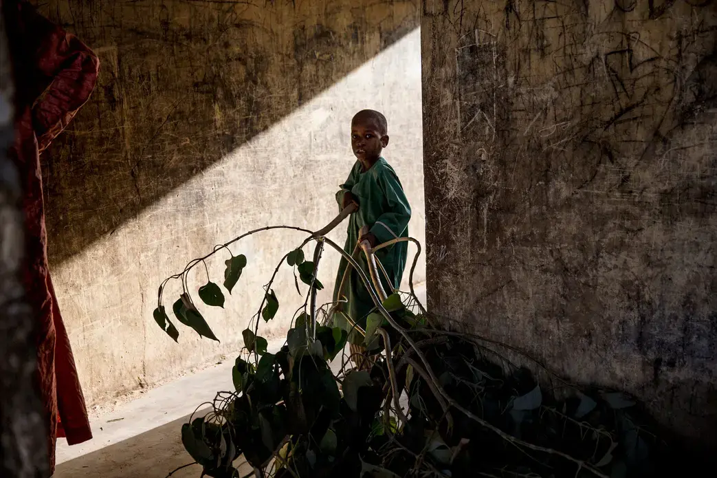 A boy carrying leaves to feed animals at an informal settlement for displaced people on the outskirts of Maiduguri, capital of Borno State in northern Nigeria. Image by Glenna Gordon. 2017.