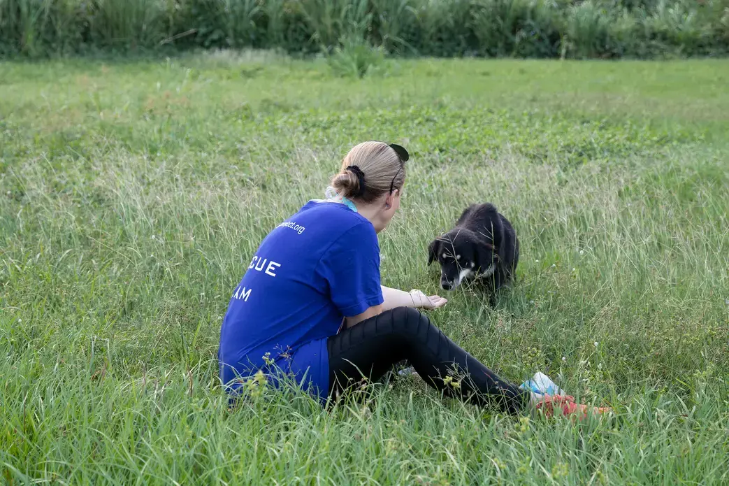 Reaching her hand out, Beckles begins to feed the dog some kibble. Image by Jamie Holt. United States, 2019.