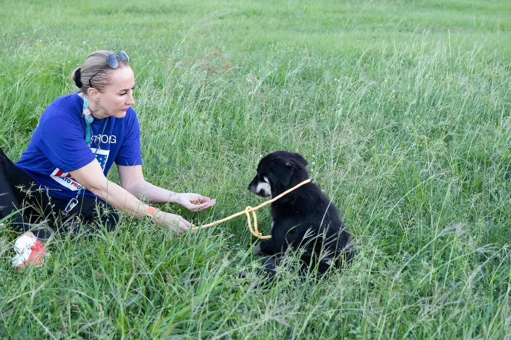 With the loop over the dog’s head, Beckles begins to pull it tighter to avoid the dog slipping out and away. Image by Jamie Holt. United States, 2019.