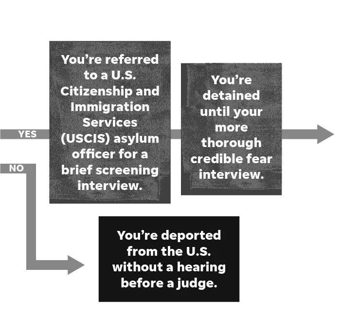 SOURCE U.S. Citizenship and Immigration Services. Image courtesy of Rebecca Plevin, Evan Wyloge/Desert Sun; Ramon Padilla, Jim Sergent/USA TODAY.