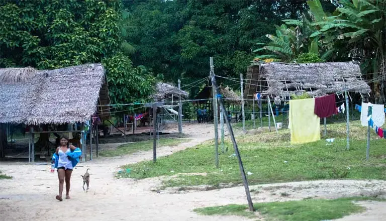 Fortaleza Village, a typical Sateré settlement in the Brazilian Amazon. Image by Matheus Manfredini. Brazil, 2019.