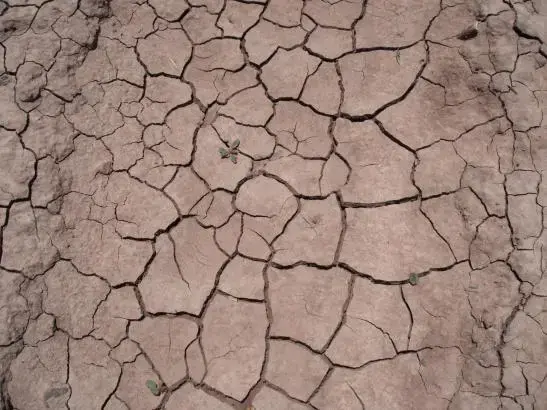 Media file: Chihuahua drought 047.JPG