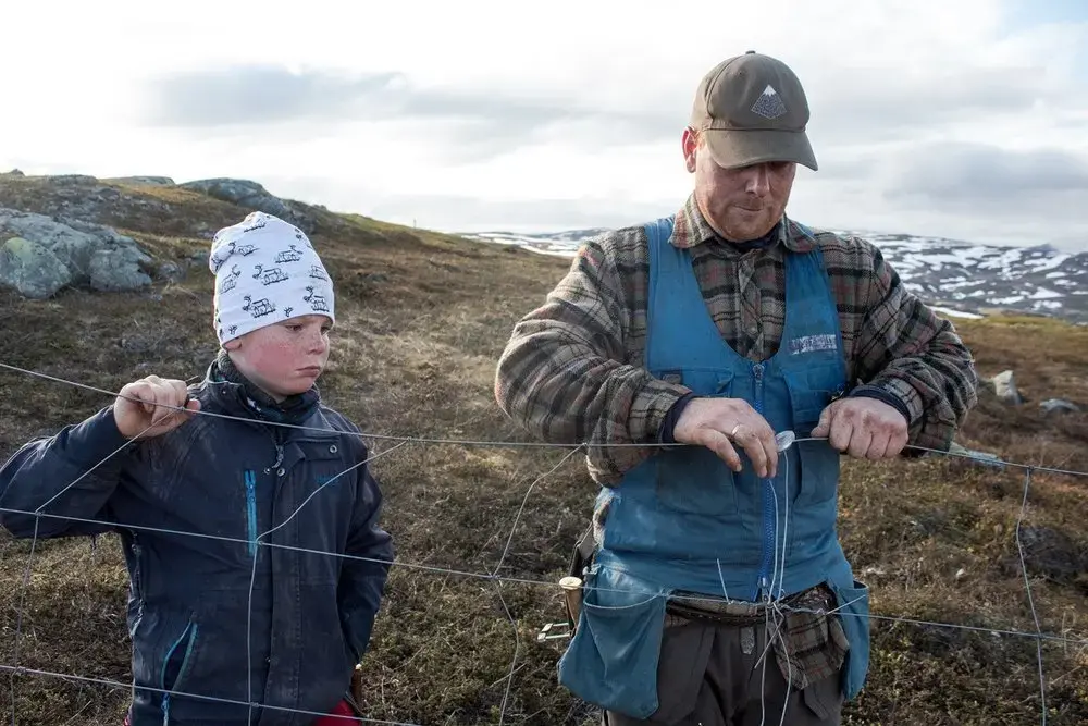 Ulf Isak Aleksandersen helps his father fix a fence. Image by Amy Martin. Norway, 2018.