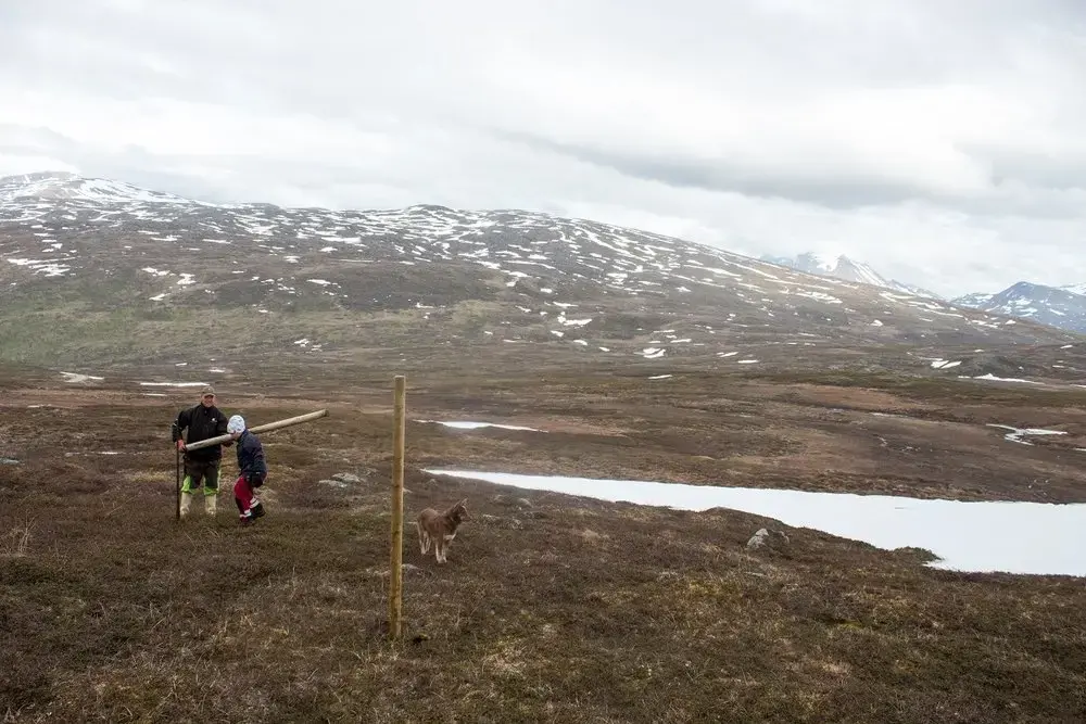 The mountaintop where the Aleksandersens herd their reindeer. Image by Amy Martin. Norway, 2018.