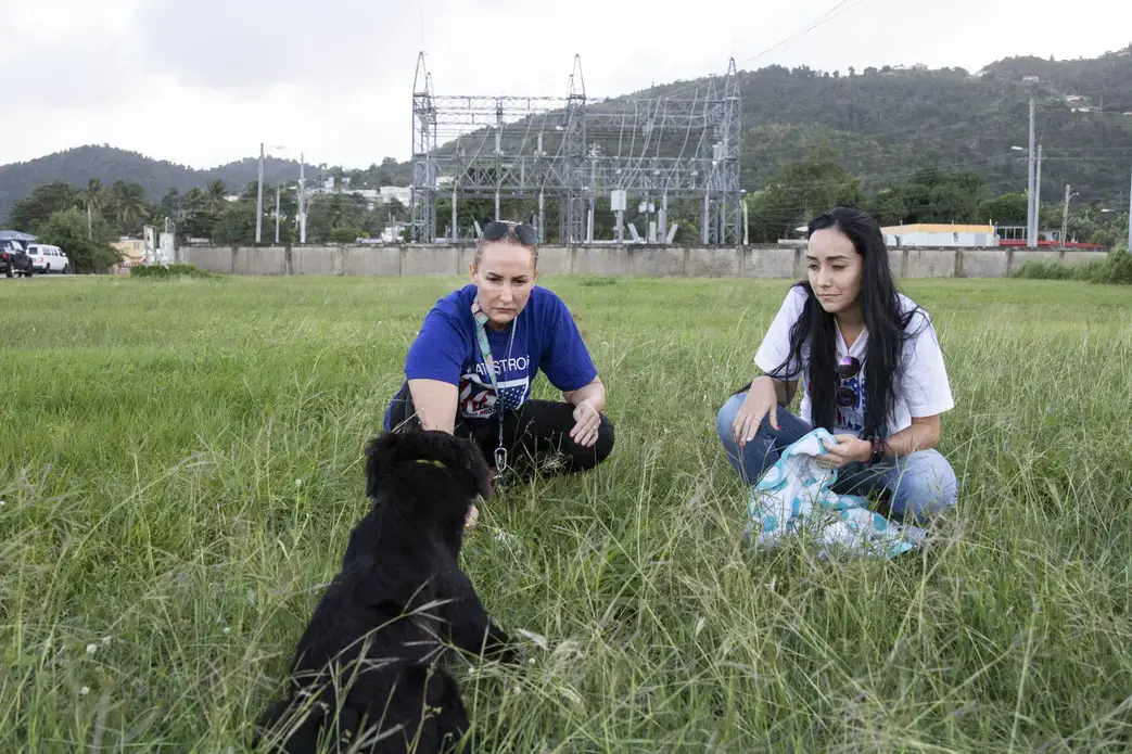 Beckles holds the leash tight as she waits for the dog to calm down. Image by Jamie Holt. United States, 2019.