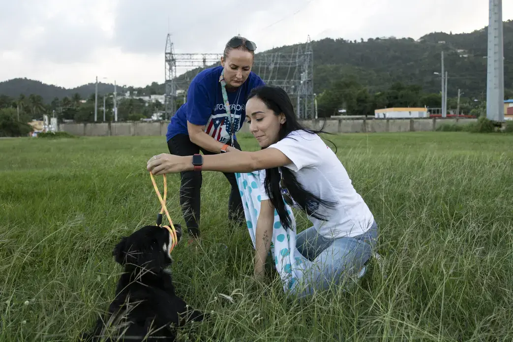 Trading the towel to Beckles, Negrón wraps the excess leash around the dog’s snout and creates a makeshift muzzle for protection. Image by Jamie Holt. United States, 2019.