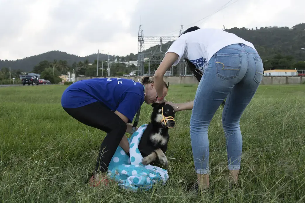 Working as a pair, Beckles and Negrón prepare to carry the dog to Beckles’ car. Image by Jamie Holt. United States, 2019.