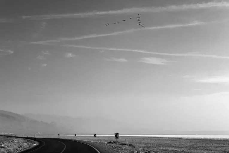 Migrant birds look for food over Lake Bakhtegan. Image by Ako Salemi. Iran, 2016.