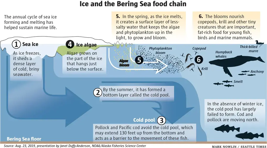 Image courtesy of The Seattle Times. United States, 2019.