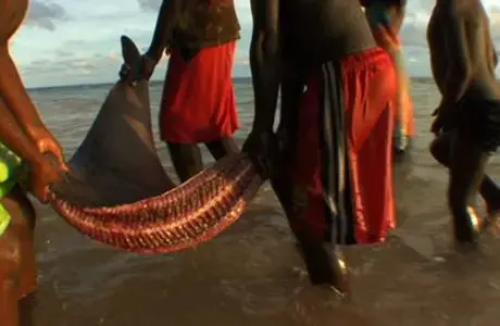 Image by Jennifer Redfearn, Carteret Islands, 2008.