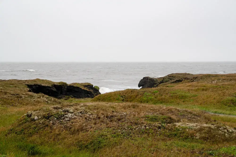 Grassy field at the sea. Image by Nick Mott. United States, 2019.