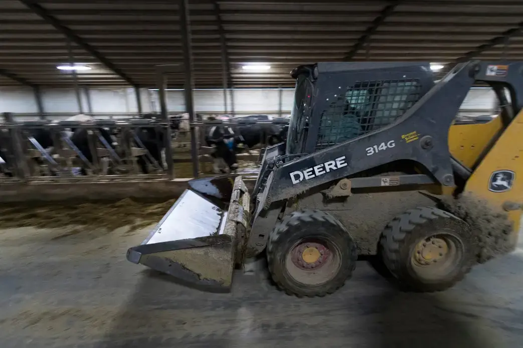 A worker drives a skid loader in one of three barns at Drake Dairy Inc. Image by Mark Hoffman. United States, 2019.