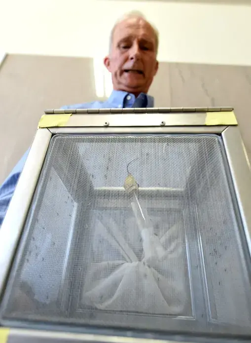 Steve Mulligan, district manager of the Consolidated Mosquito Abatement District, holds a container with&nbsp;Aedes aegyptimosquitoes during a news conference at the Fresno County Department of Health in July 2016. Image by John Walker / The Fresno Bee. United States, 2016.