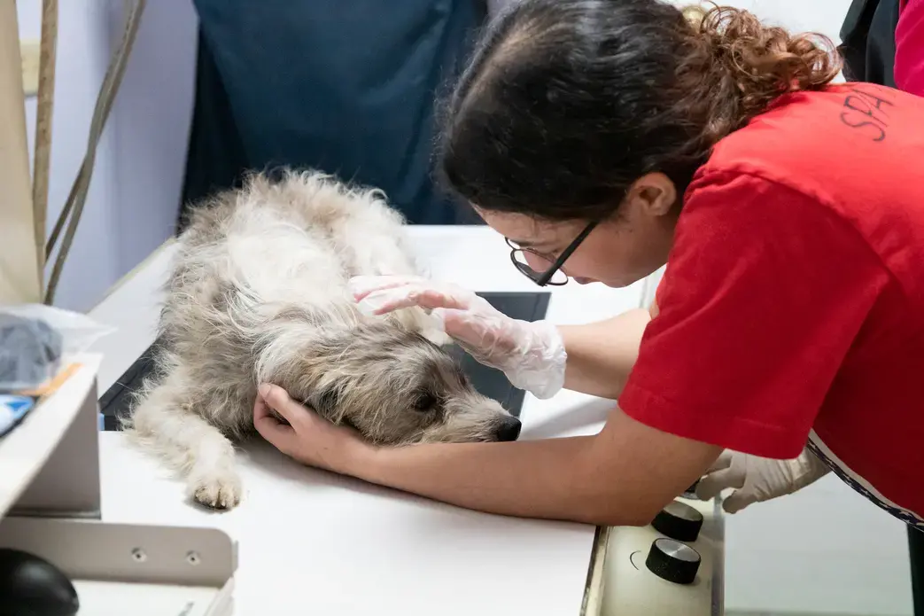 After a hands-on physical examination, the mother is moved to the X-ray room for preventative scans. Image by Jamie Holt. United States, 2019.