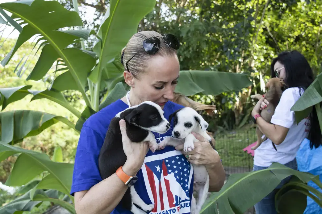 Beckles picks two of the puppies up to load them into the van. Image by Jamie Holt. United States, 2019.