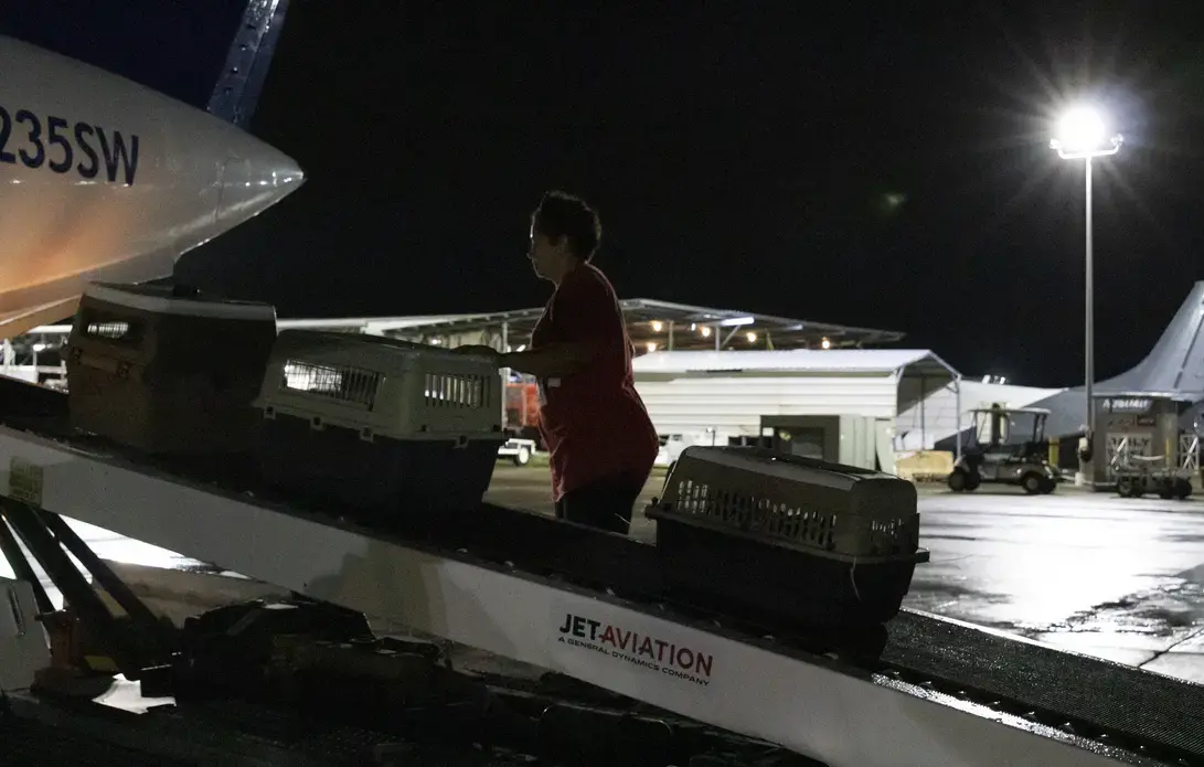 Osario guides a crate towards the top. Image by Jamie Holt. United States, 2019.