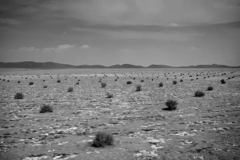 Desertification is one of the impacts of drought in Gavkhouni—the spread of vegetation is one possible solution. Image by Ako Salemi. Iran, 2016.