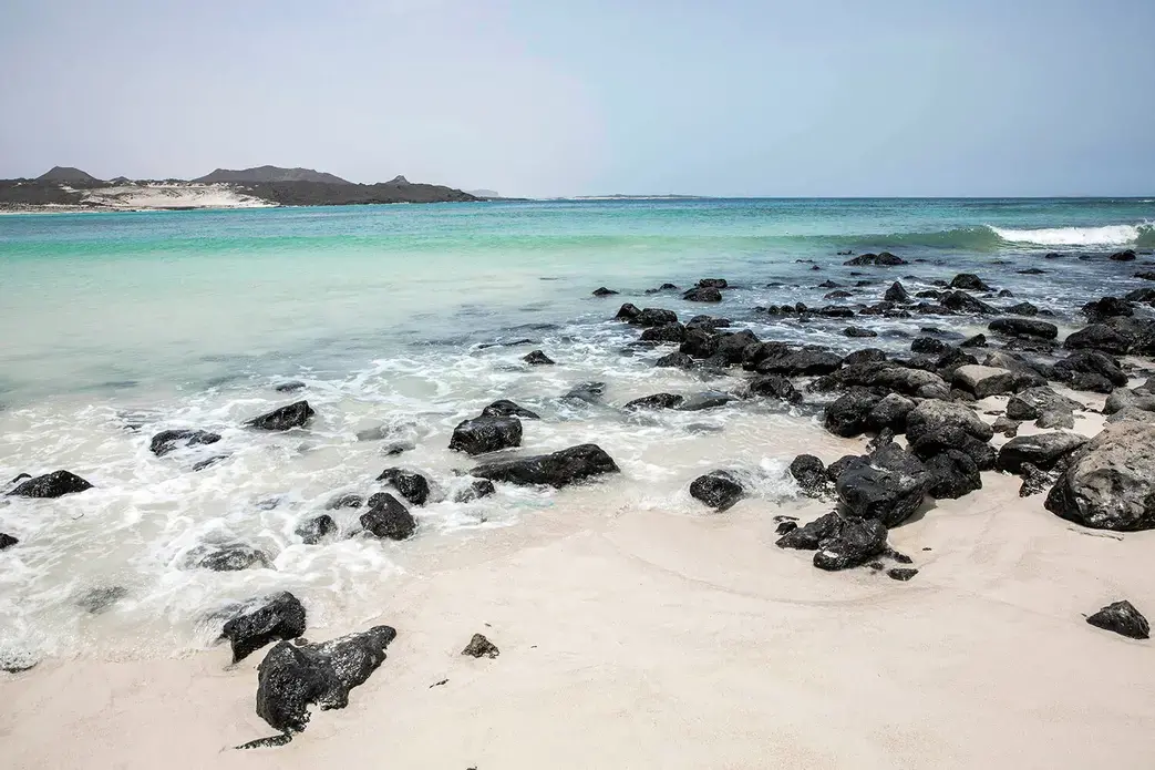 This July 27, 2019 photo shows the shores of Bir Ali where migrants from Bosaso, Somalia arrive, in Shabwa, Yemen. Image by Nariman El-Mofty / AP Photo. Yemen, 2019.