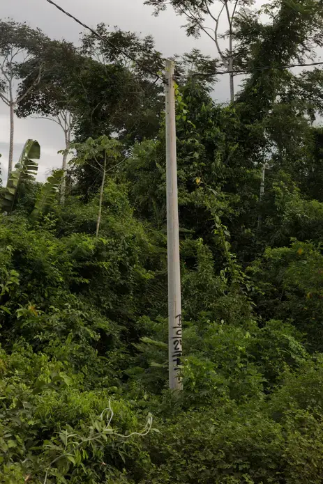 Erick Martinez, the only buyer who travels to the remote community of Las Peñitas on the Río Negro. The dream of progress and urbanization has slowly yet steadily reached the villages of the Bolivian Amazon, bringing about rapid and noticeable changes in the way of life. Image by Felipe Luna. Bolivia, 2018.