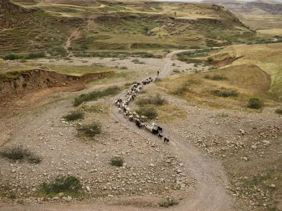 rought in Sikvand village in Khuzestan Province has forced shepherds to move their flocks in search of grassland. Many nomadic families are seeking a way of life that will allow their children to go to school. Image by Newsha Tavakolian. Iran, 2018.