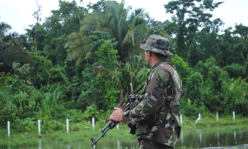 Media file: looking for contras.JPG