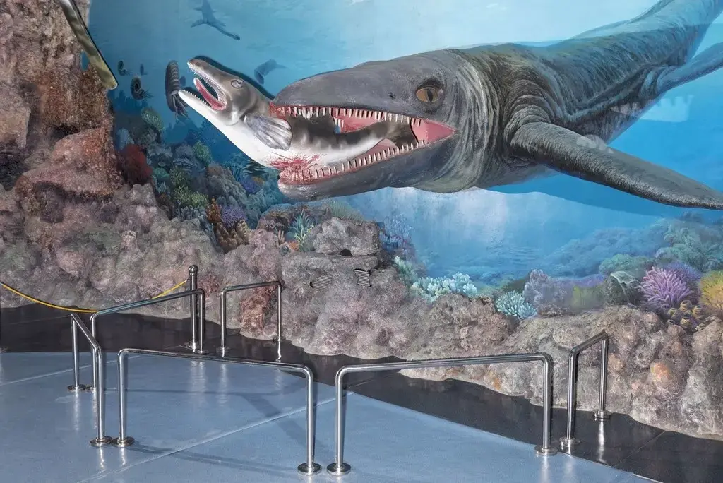 A mural at the Museum of Natural History. Image by Max Pinckers/The New Yorker. North Korea, 2017.