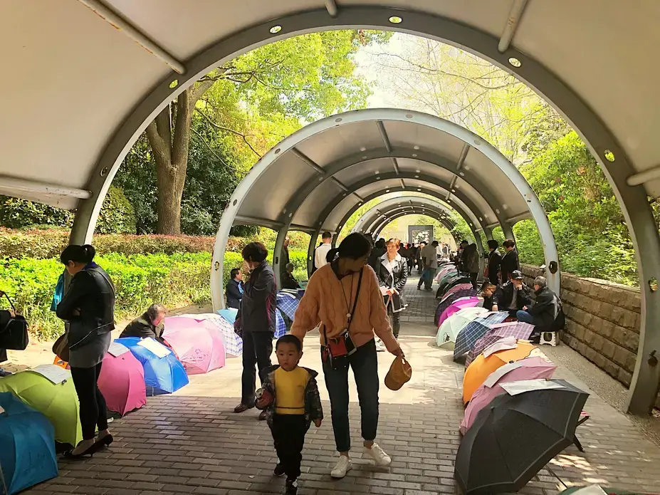 At the marriage market in Shanghai parents post resumes of their children in hopes of finding a spouse for them. The young and their elders read the resumes as they walk through the market. Image by&nbsp;Argentina Maria-Vanderhorst. China, 2018.