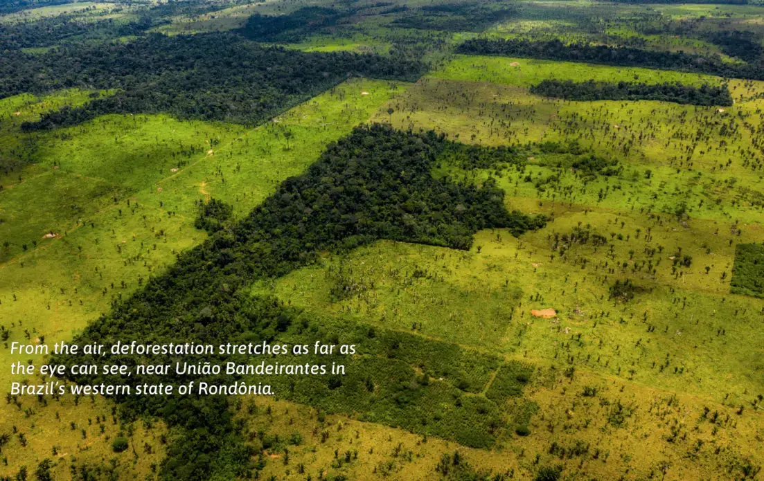 From the air, deforestation stretches as far as the eye can see, near União Bandeirantes in Brazil’s western state of Rondônia. Image by Sebastián Liste. Brazil, 2019.